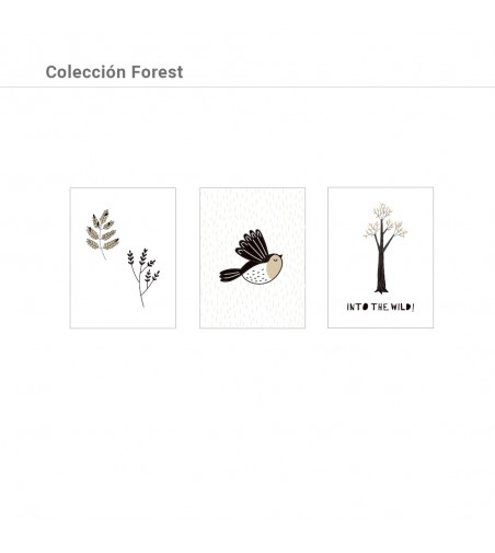 Colección Láminas Forest