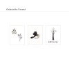 Colección Láminas Forest