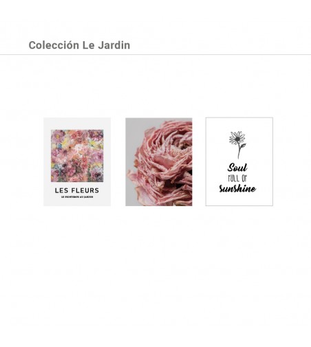 Colección Láminas Le Jardín