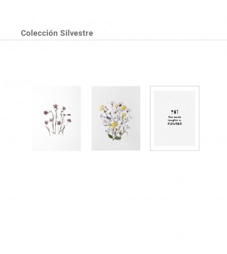 Colección Láminas Silvestre