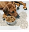 Alfombra comedero para mascotas Bones