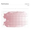 Planificador de pared mensual Belly