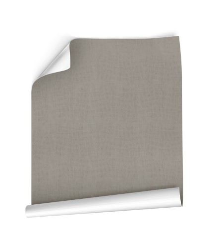 Papel Autoadhesivo Balma Gris Elefante