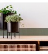 Pack de cenefas Balma Verde Blackwood