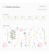 Pack de cenefas Primavera Pastel