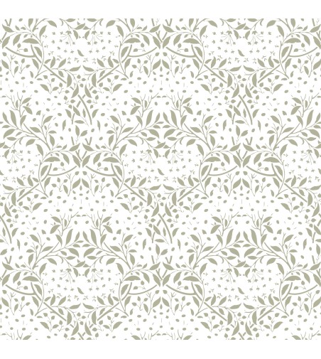 Papel Autoadhesivo Collete