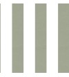 Papel Autoadhesivo Fiber Lines Sage Green