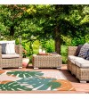 Alfombra vinílica con estampado Monstera Tropic