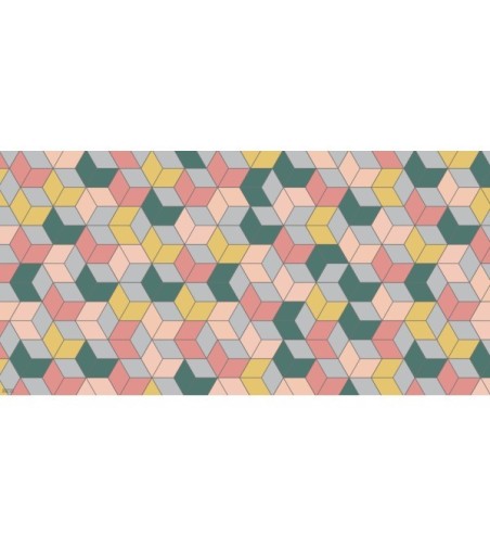 Alfombra Vinílica Modermo 63x150