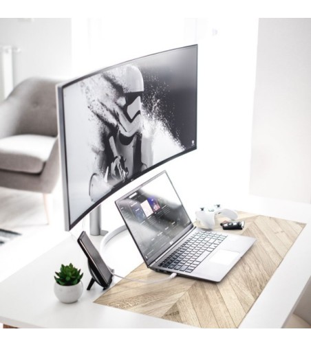 Alfombrilla de escritorio Rosich 48x75