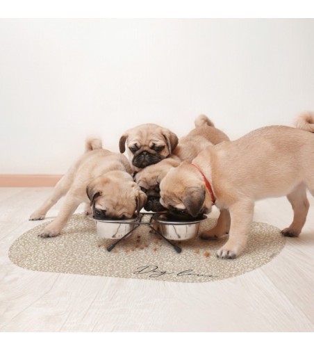 Alfombra comedero para mascotas Coba 48x35