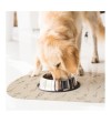 Alfombra comedero para mascotas Ameli 48x35