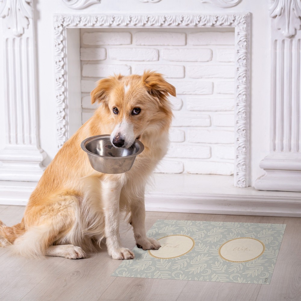 Alfombra comedero para mascotas Moon 48x35