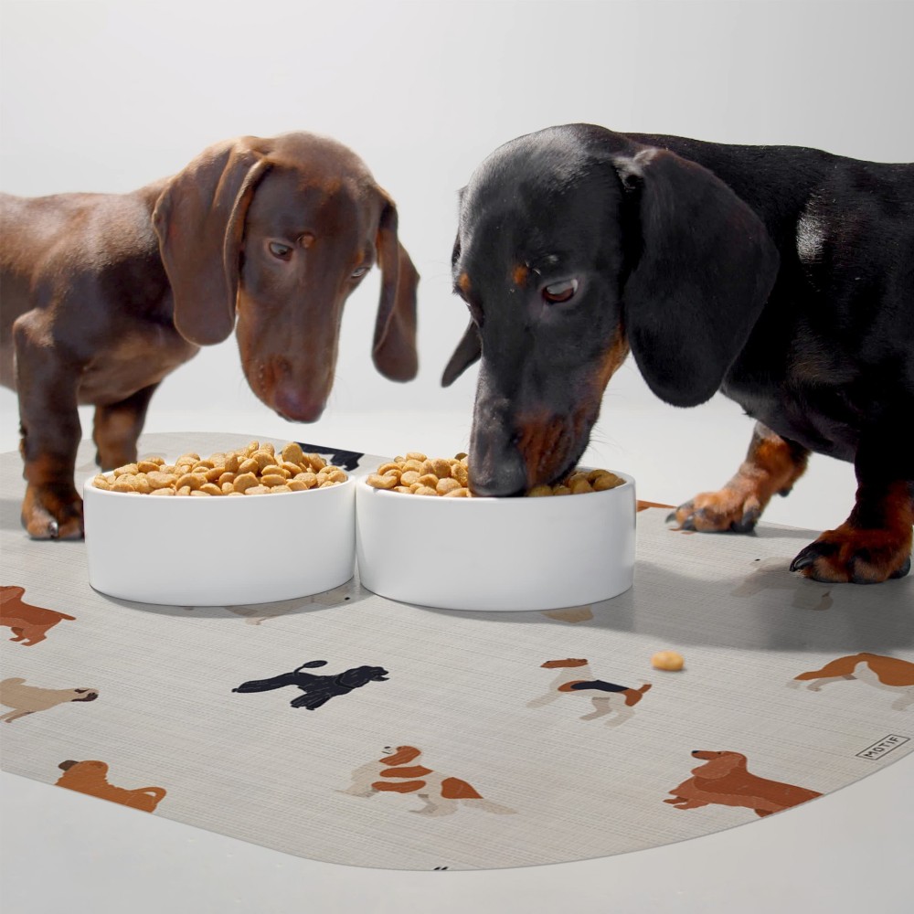 Alfombra comedero para mascotas Puppy 48x35