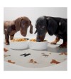 Alfombra comedero para mascotas Puppy 48x35