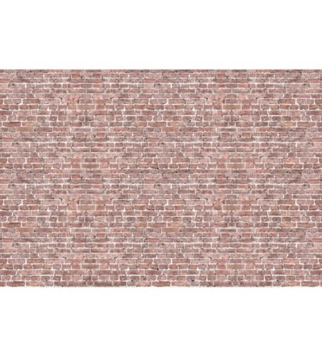Mural Autoadhesivo Grunge Brick 257x260cm