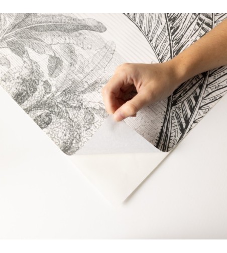 Mural Autoadhesivo Old Jungle 257x300cm