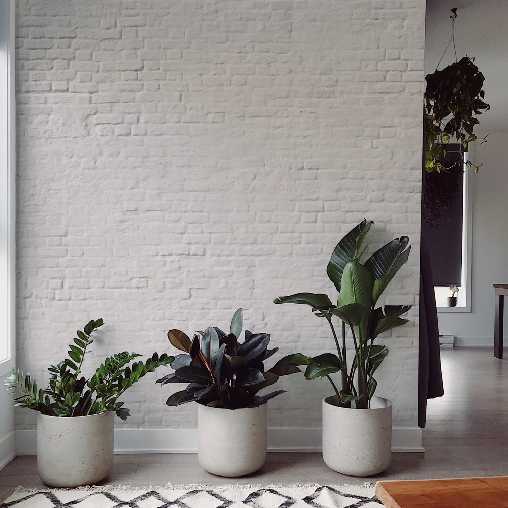 Mural Autoadhesivo Old Mattone 257x300cm