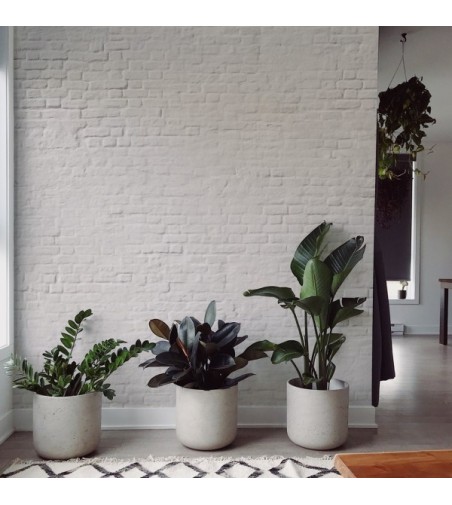 Mural Autoadhesivo Old Mattone 257x300cm