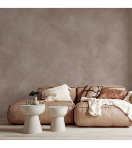 Mural Autoadhesivo Old Wall 257x300cm