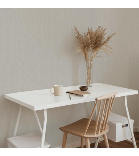 Papel Autoadhesivo Balma Gris Pale - 2 tiras de 650x2600mm