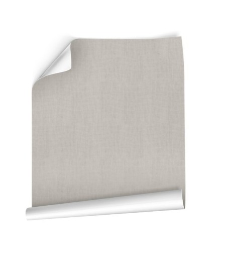 Papel Autoadhesivo Balma Gris Pale - 2 tiras de 650x2600mm