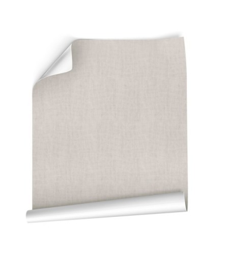 Papel Autoadhesivo Balma Gris Pastel - 1 tiras de 650x2600mm