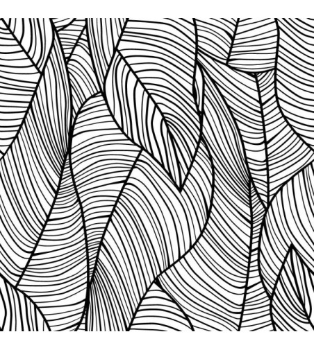 Papel Autoadhesivo Coconut - 1 tiras de 650x2600mm