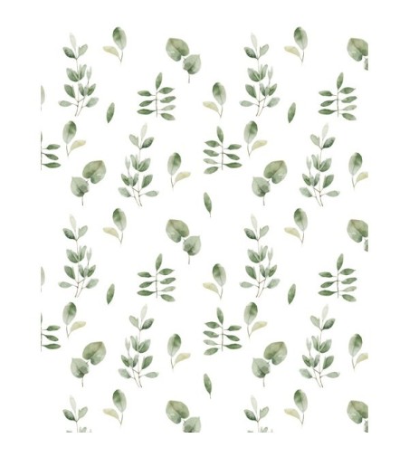 Vinilo cristal Eucalipto 120x150cm