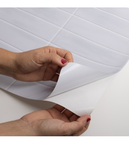 Vinilo Feid Gris 200X100cm mate