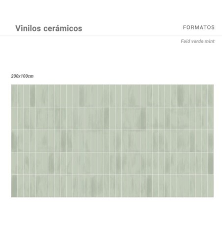 Vinilo Feid Verde Mint 200x100cm brillo
