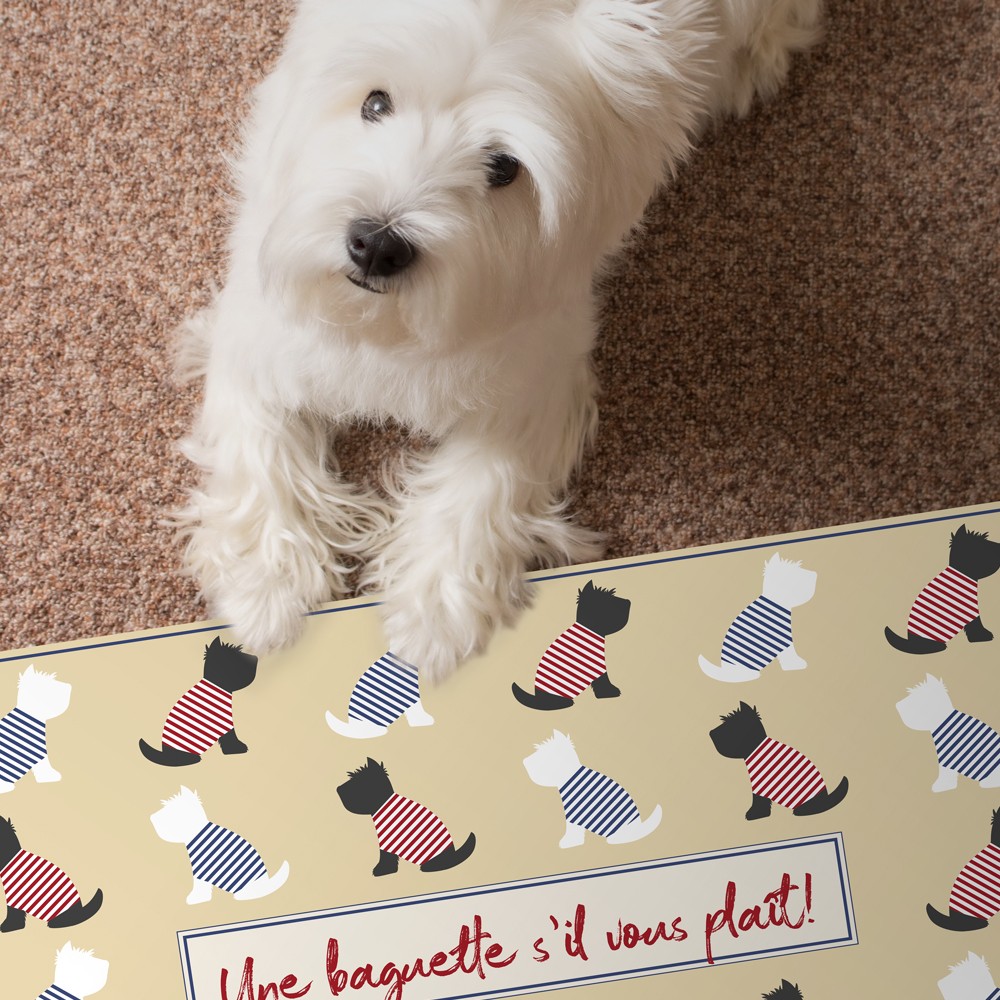 Alfombra para MASCOTAS  NINO 48x75