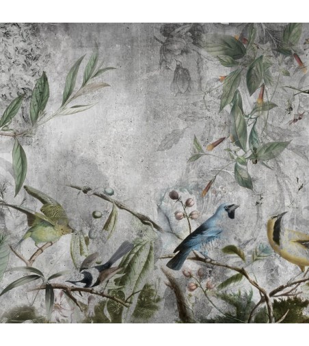 Mural pajaros tropicales 257x260