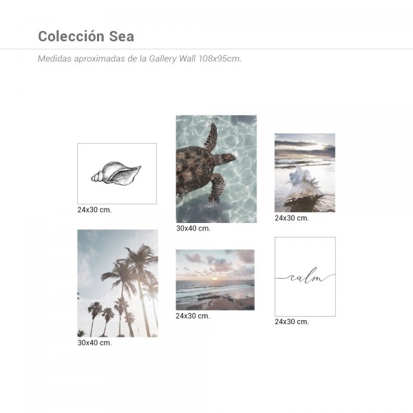 Colección Láminas Sea