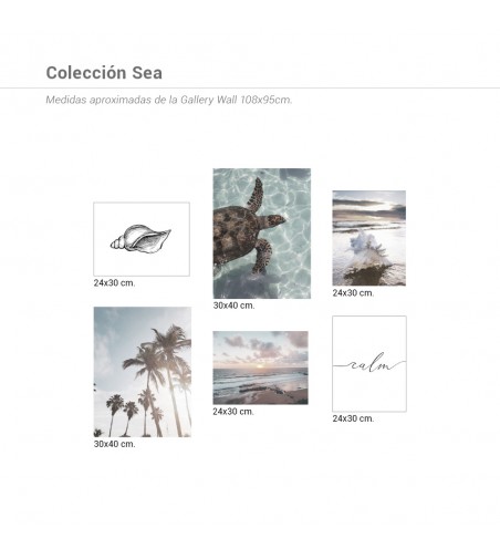 Colección Láminas Sea