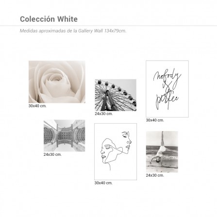 Colección Láminas White