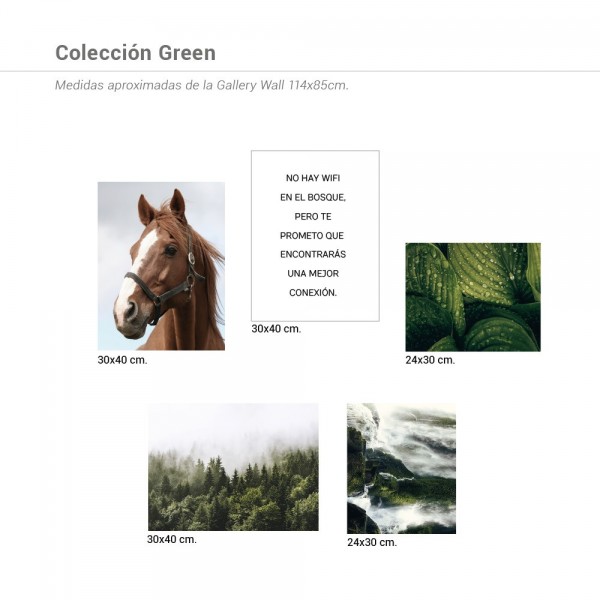 Colección Green