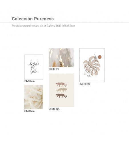 Colección Láminas Pureness