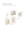 Colección Láminas Pureness
