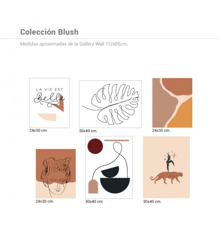 Colección Láminas Blush