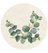 Posavasos Hojas (pack de 6)